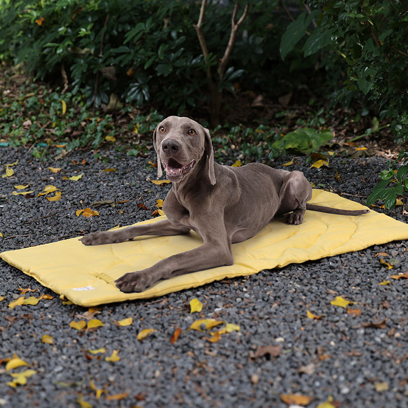 Tragbare Haustier matte faltba – Outdoor Camping Rug Bewertung und Preis